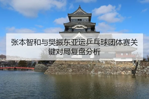 张本智和与樊振东亚运乒乓球团体赛关键对局复盘分析