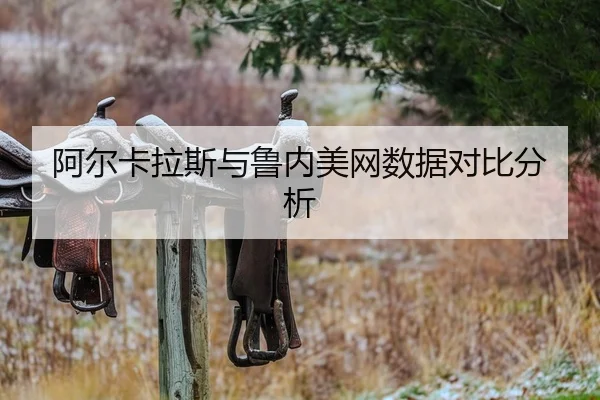 阿尔卡拉斯与鲁内美网数据对比分析